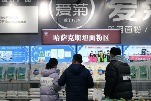 鏡觀·回響 中哈物流十年見證——西行東進，互聯(lián)互通下的貨物與技術(shù)進出口新篇章